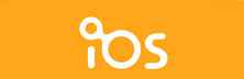 Inventory Optimization Solutions (IOS)